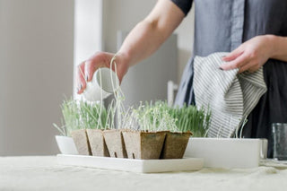 BRINGING MORE LIFE TO YOUR HOME AND YOUR DINNER PLATE - Linen Tales Global 