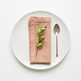 Cafe Creme Linen Napkins Set of 2 