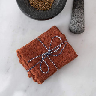 Baked Clay Linen Dishcloth Set of 2 