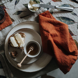 Baked Clay Linen Napkins Set of 2 4