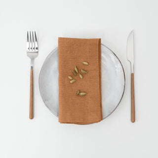 Clay Linen Napkins Set of 2 