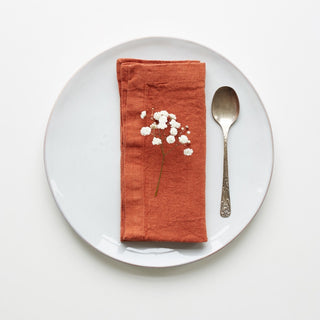 Set of 2 Baked Clay Washed Linen Napkins 1